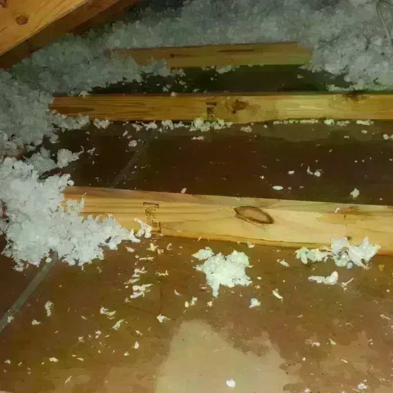 Attic Water Damage in York County, NE