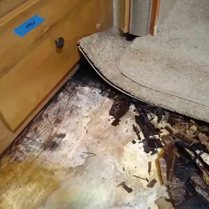 Wood Floor Water Damage in York County, NE